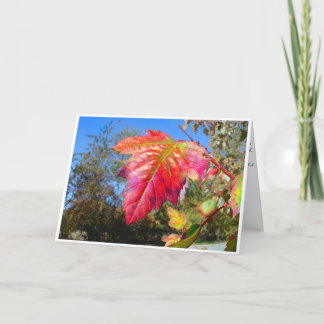 K&K - Sympathy Card Kaart