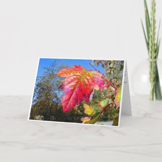 K&K - Sympathy Card Kaart (Voorkant)