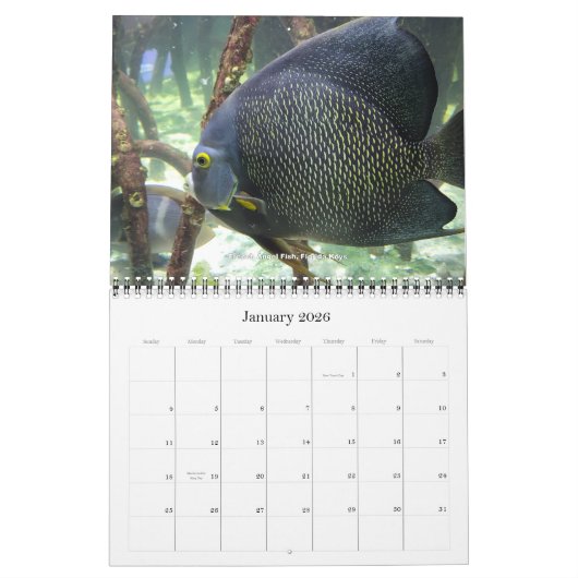 K&M 2025 KALENDER (Jan 2026)