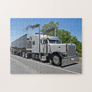 K Martin's 379 Puzzle Legpuzzel