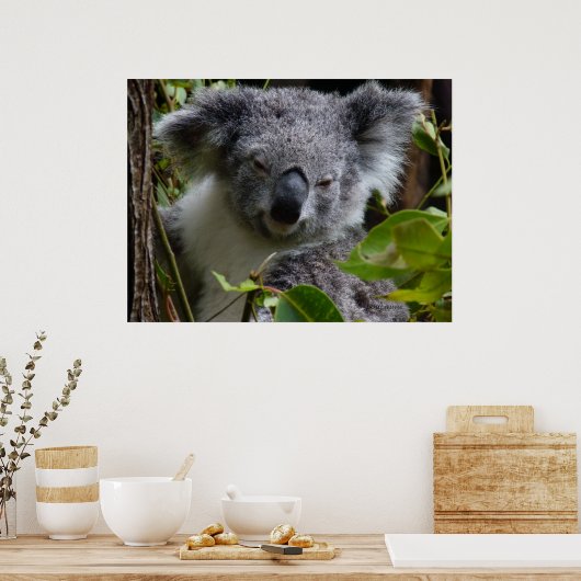 k voor koala poster (Keuken)
