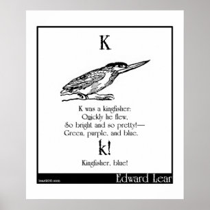 K was een ijsvogel poster