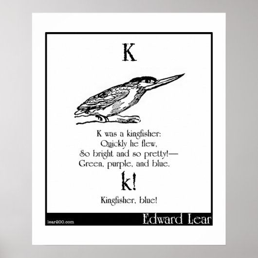 K was een ijsvogel poster (Voorkant)