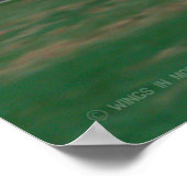 KA-6D INTRUDER POSTER (Hoek)