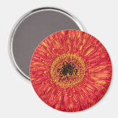 KA-Bloom! Magneet (Voorkant / Achterkant)