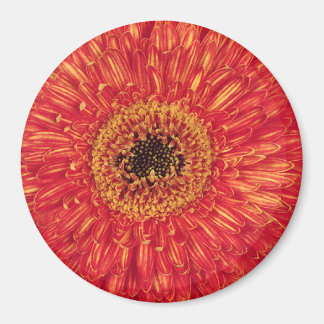 KA-Bloom! Magneet