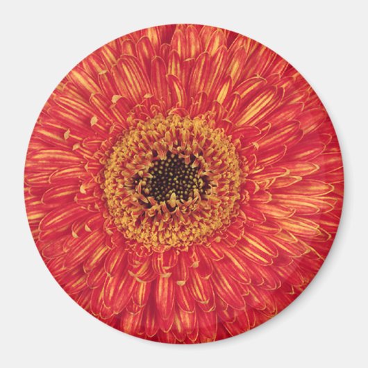 KA-Bloom! Magneet (Voorkant)