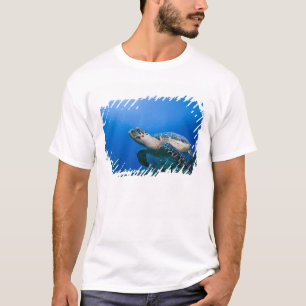 Kaaiman Eilanden, Little Cayman Eiland, Onderwater T-shirt