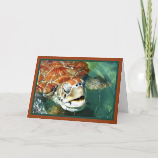 Kaaiman-schildpad Kaart (Voorkant)