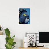 Kaaimaneilanden, Franse engelvis Pomacanthus Poster (Thuiskantoor)
