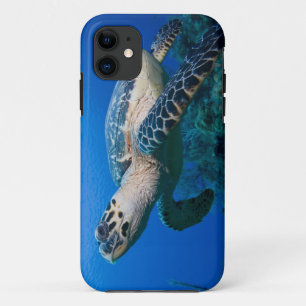 Kaaimaneilanden, Little Cayman-eiland, Onder water Case-Mate iPhone Case