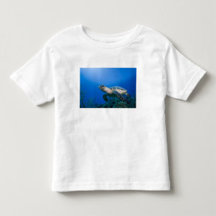 Kaaimaneilanden, Little Cayman-eiland, Onderwater  Kinder Shirts