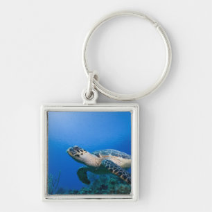 Kaaimaneilanden, Little Cayman-eiland, Onderwater  Sleutelhanger