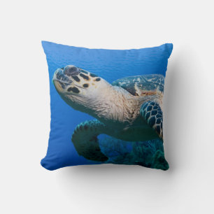 Kaaimaneilanden, Little Cayman Island, Onderwater Kussen