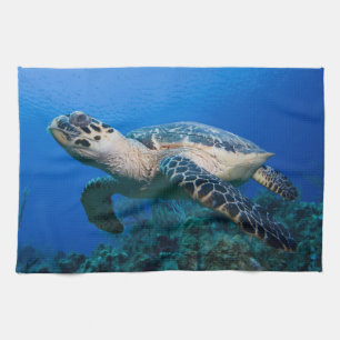 Kaaimaneilanden, Little Cayman Island, Onderwater  Theedoek