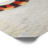 kaaimannen die een slang poster eten (Hoek)