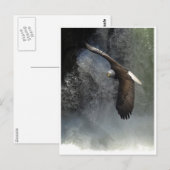 KAAL ADELAAR & WATER HERFST BRIEFKAARTEN (Voorkant / Achterkant)