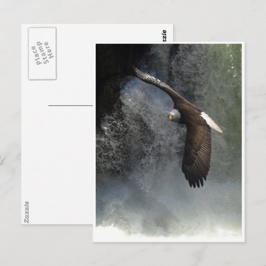 KAAL ADELAAR & WATER HERFST BRIEFKAARTEN (Voorkant / Achterkant)