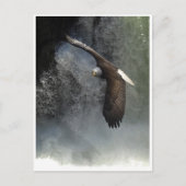 KAAL ADELAAR & WATER HERFST BRIEFKAARTEN (Voorkant)