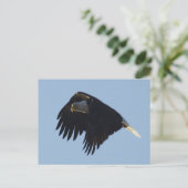 KAAL AREND MOTIVATIE BRIEFKAART (Staand voorkant)