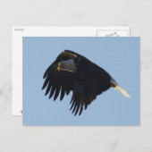 KAAL AREND MOTIVATIE BRIEFKAART (Voorkant / Achterkant)