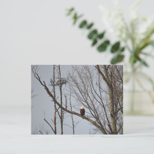 Kaal Briefkaart Eagle en Blackhawk (Staand voorkant)