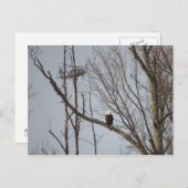 Kaal Briefkaart Eagle en Blackhawk (Voorkant / Achterkant)