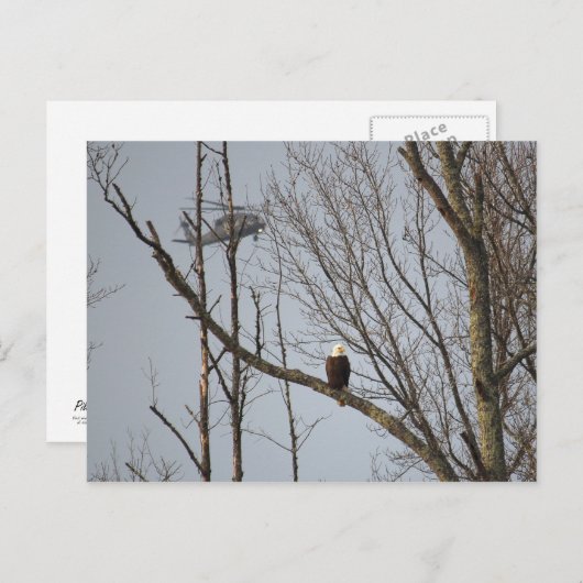 Kaal Briefkaart Eagle en Blackhawk (Voorkant / Achterkant)