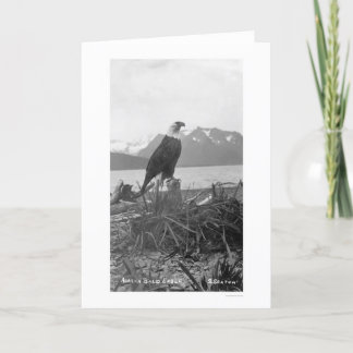 Kaal Eagle Alaska 1920 Kaart