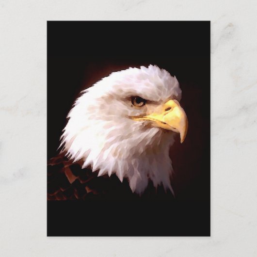 Kaal Eagle Amerikaans Eagle Briefkaart (Voorkant)