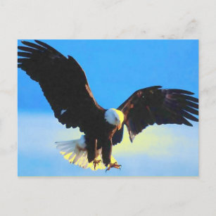 Kaal Eagle die Briefkaart landen