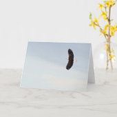 Kaal Eagle die Kaart vliegen (Gele Bloem)
