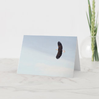 Kaal Eagle die Kaart vliegen