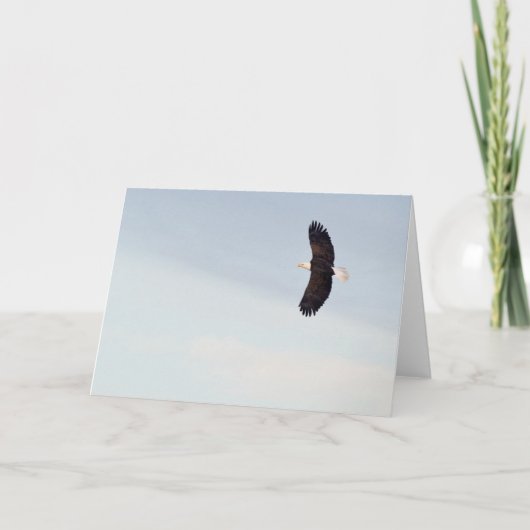 Kaal Eagle die Kaart vliegen (Voorkant)