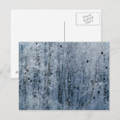 Kaal Eagles (leucocephalus Haliaeetus) bij Briefkaart (Voorkant / Achterkant)