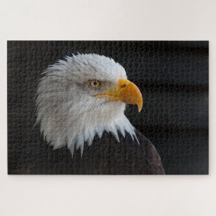 Kaal hoofd arend legpuzzel