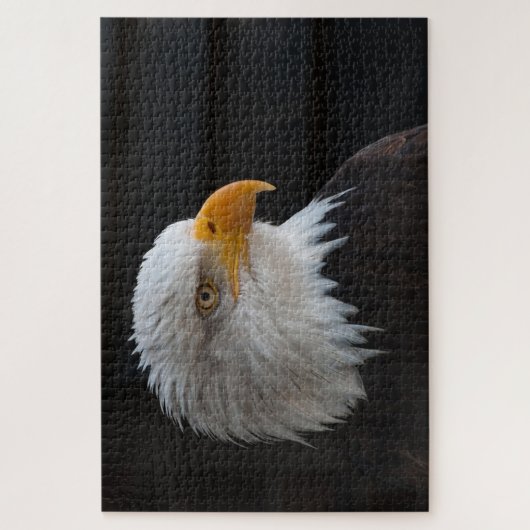 Kaal hoofd arend legpuzzel (Verticaal)