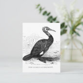 Kaalscholver  vogeltrek briefkaart (Staand voorkant)