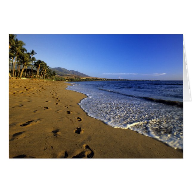 Kaanapali strand, Maui, Hawaii, Verenigde Staten (Voorkant Horizontaal)