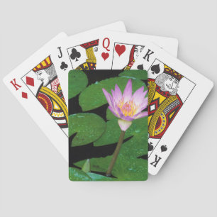 Kaap Blue Water Lily (Nymphaea Capensis) Pokerkaarten