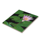 Kaap Blue Water Lily (Nymphaea Capensis) Tegeltje (Zijkant)