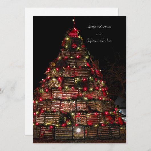 Kaap Bruinvis viert Kaart (Voorkant / Achterkant)