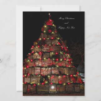 Kaap Bruinvis viert Kaart