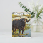 Kaap Buffalo in de Okavango Delta in Botswana Briefkaart (Staand voorkant)