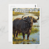 Kaap Buffalo in de Okavango Delta in Botswana Briefkaart (Voorkant / Achterkant)