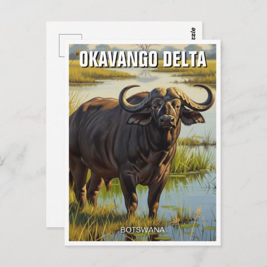 Kaap Buffalo in de Okavango Delta in Botswana Briefkaart (Voorkant / Achterkant)