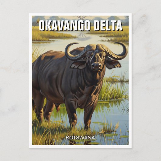 Kaap Buffalo in de Okavango Delta in Botswana Briefkaart (Voorkant)