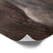 Kaap Buffalo met Egret – Masai Mara Safari Poste Poster (Hoek)