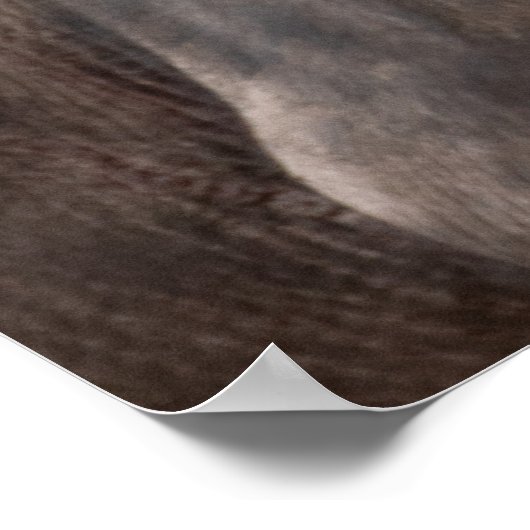 Kaap Buffalo met Egret – Masai Mara Safari Poste Poster (Hoek)