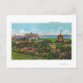 Kaap Cod, MassachusettsView of Homes van de Briefkaart (Voorkant)